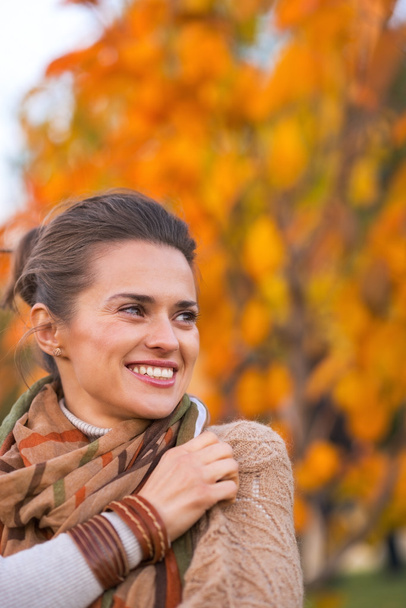 Portrait of happy young woman in autumn outdoors in evening - 写真・画像