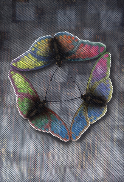 letu motýlů - Fotografie, Obrázek