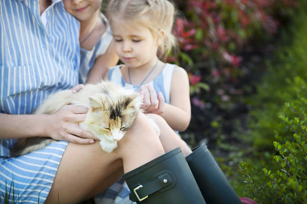 Щаслива мати з дочками тримає кота проти природи
 - Фото, зображення