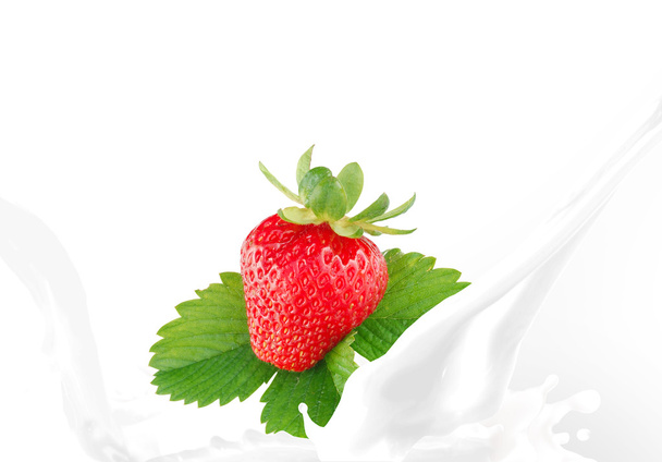 Splashing milk with strawberry - Foto, Imagem