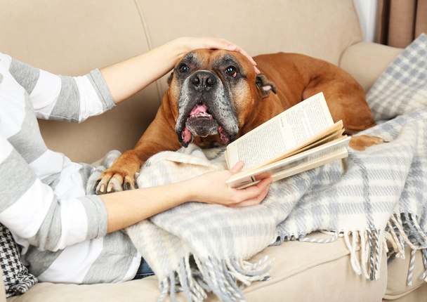 Lindo perro y chica tumbado en el sofá
 - Foto, imagen