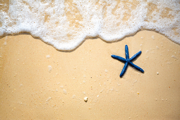 Blue starfish on the sandy coast - Photo, Image