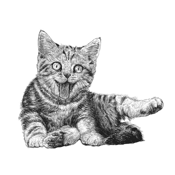 小さな猫 - ベクター画像