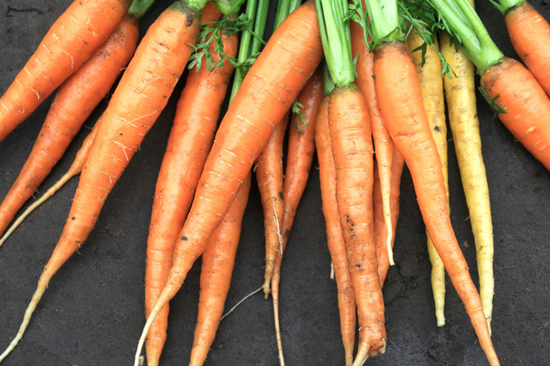 carottes fraîches crues avec des queues sur fond naturel
 - Photo, image