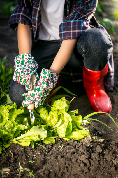 woman in gloves working in garden with metal spade - Photo, Image