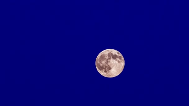 De volle heldere maan beweegt op blauwe achtergrond - Video