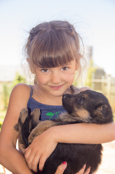 young girl, brunette, playing with puppies German shepherd on a  - Foto, imagen