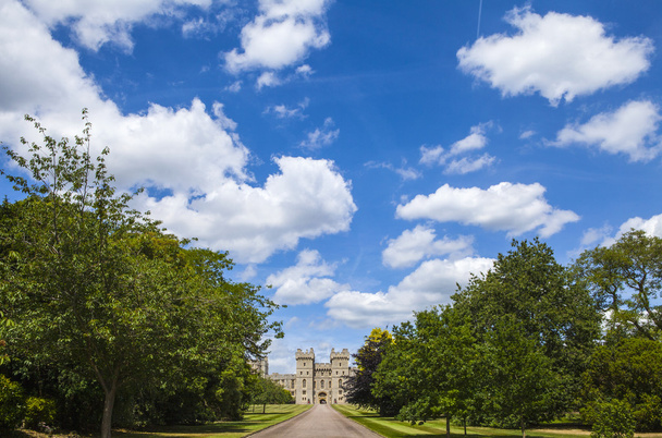 View of Windsor Castle - Zdjęcie, obraz