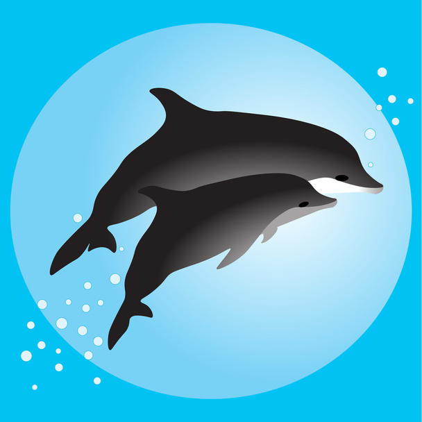 Casal golfinhos nadando no oceano
 - Vetor, Imagem