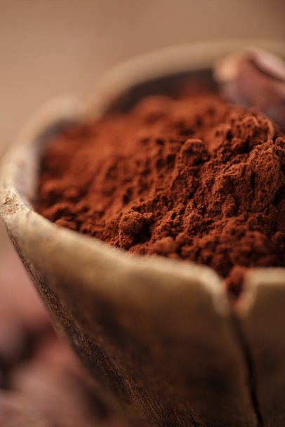Cocoa powder in spoon - Φωτογραφία, εικόνα