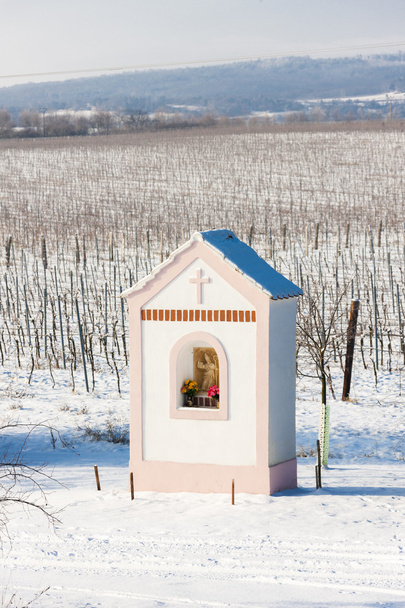 Jumalan kidutusta lähellä Hnanice talvella viinitarha
 - Valokuva, kuva
