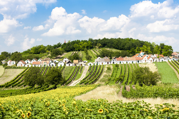 üzüm bağları, Galgenberg, Lower Austria, Avusturya ile şarap mahzenleri - Fotoğraf, Görsel