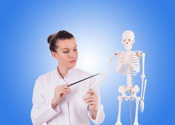 Доктор со скелетом против градиента
  - Фото, изображение