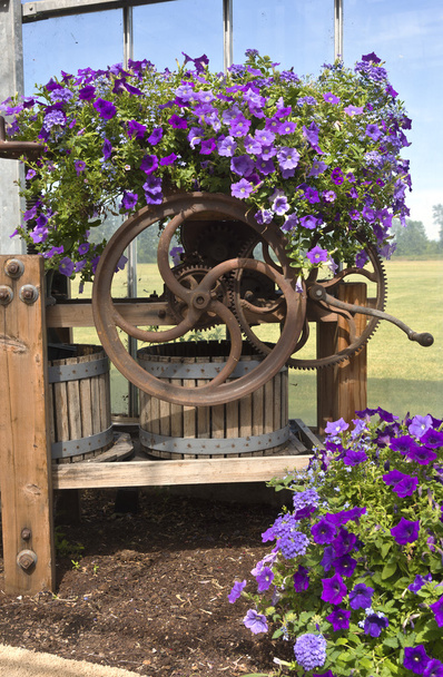 Фермерский и садовый питомник в Канби Орегон
. - Фото, изображение