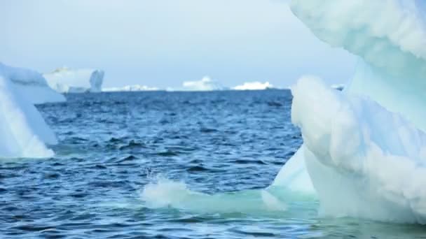 Ilulissat disko bay kıyı eriyen buzdağları - Video, Çekim