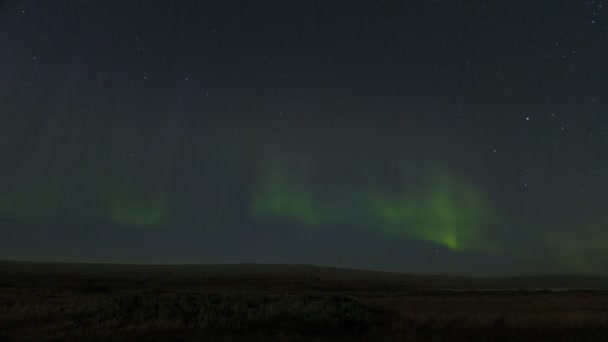 Aurora borealis İzlanda gökyüzü - Video, Çekim