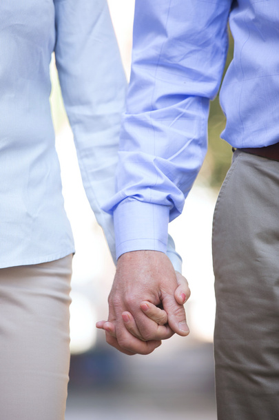 Pár se drží za ruce - Fotografie, Obrázek