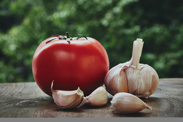 Tomato and garlic head - Foto, Imagen