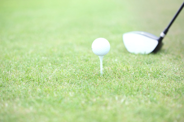 golf club and tee - Photo, Image