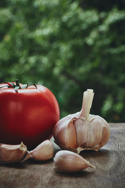 Tomato and garlic head - Fotó, kép