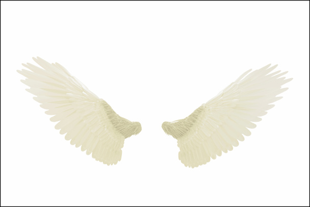 skrzydła anioła - Zdjęcie, obraz