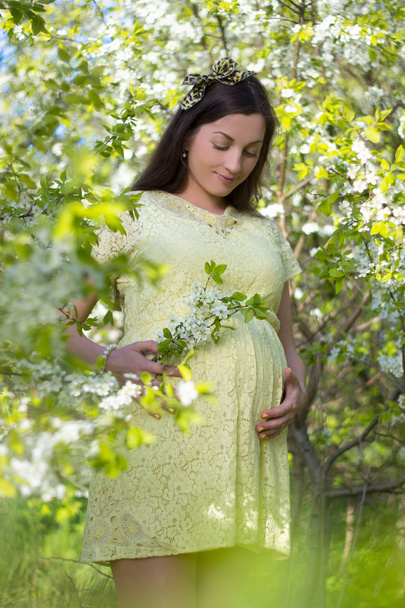 dreamy beautiful pregnant woman walking in blooming spring garde - 写真・画像