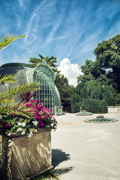 Famous greenhouse in the Lednice castle - Photo, Image