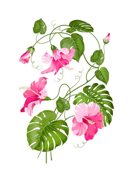 Tropical flower garland. - Vector, Image