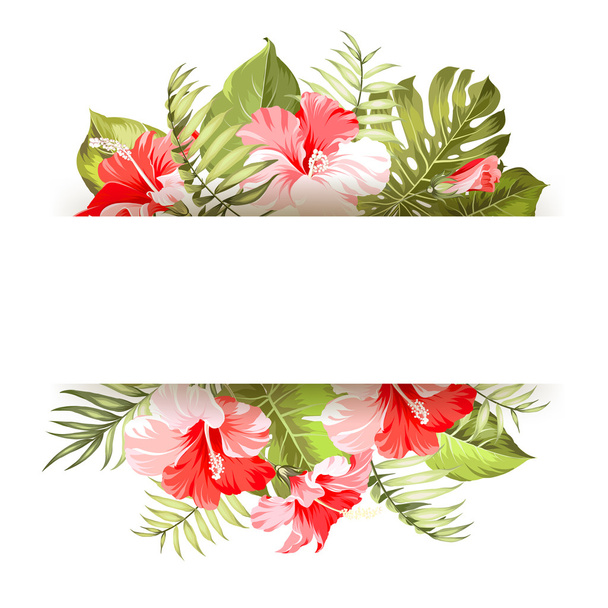 Tropical flower frame. - Vector, Imagen