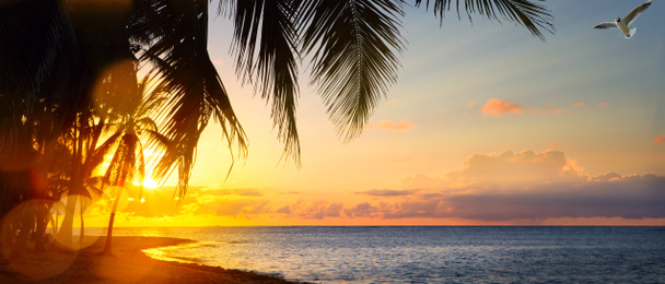 sztuka piękny wschód słońca na tropikalnej plaży - Zdjęcie, obraz