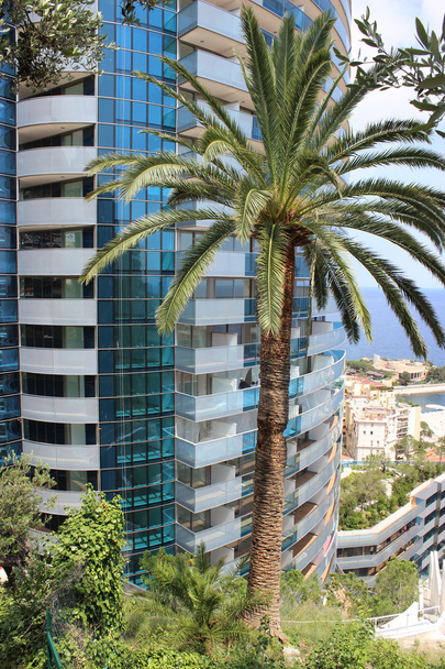 Palm Tree μπροστά σε ένα πολυτελές κτίριο - Φωτογραφία, εικόνα