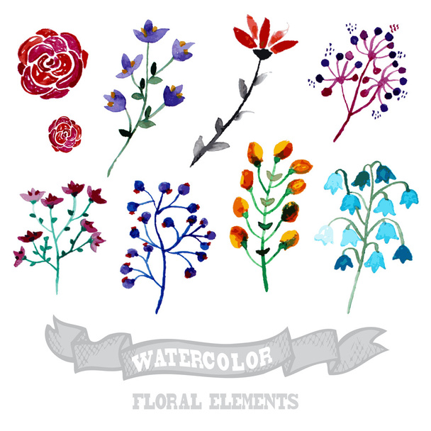 watercolor floral elements - Vector, Image