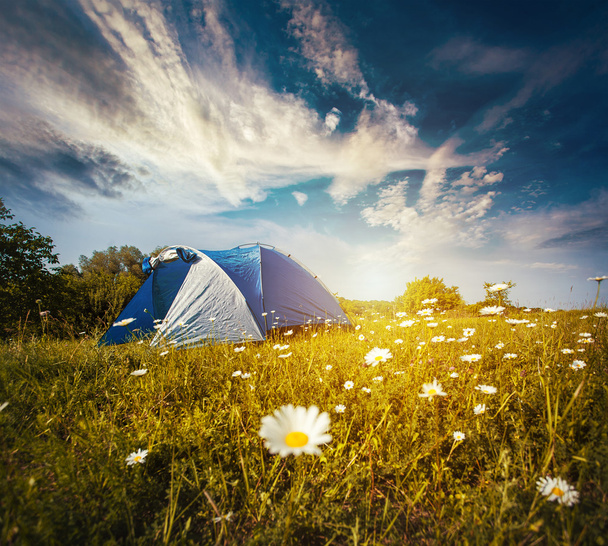 Tourist tent in forest camp among meadow - Fotó, kép