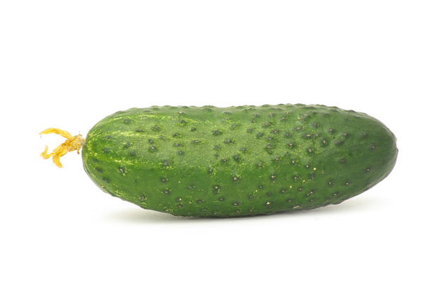 Cucumber - Фото, изображение