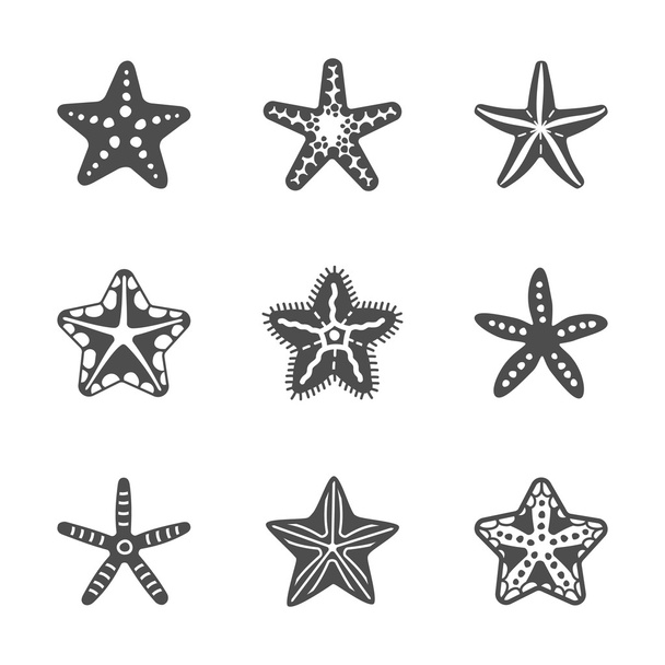διανυσματικό σχήμα σετ των διαφόρων αστερίες της θάλασσας - Διάνυσμα, εικόνα