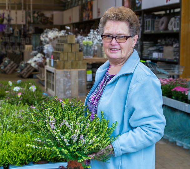 Ηλικιωμένη γυναίκα αγορά heather στο κατάστημα κήπων - Φωτογραφία, εικόνα