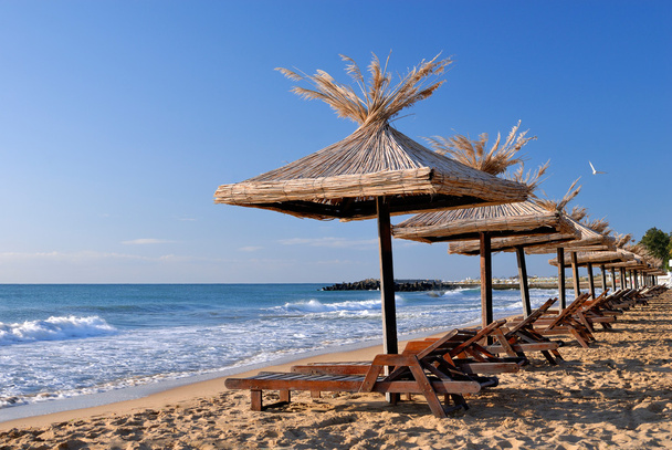Cadeiras de sol e guarda-sóis na praia
 - Foto, Imagem