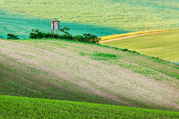 Morawska toczenia krajobraz z polowania wieża shack - Zdjęcie, obraz