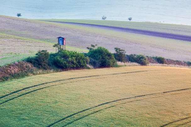 Moravia paisaje rodante con choza torre de caza
 - Foto, imagen