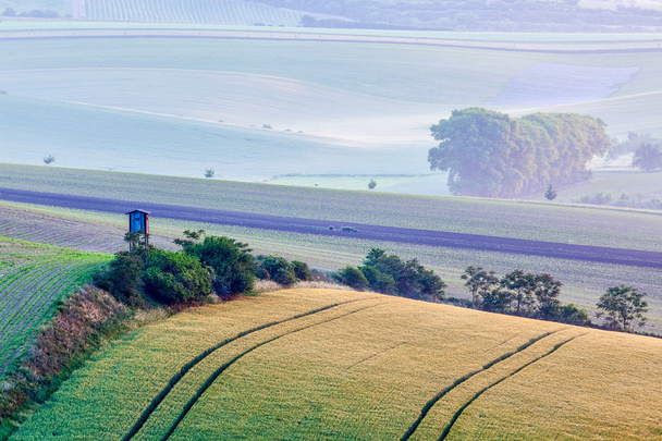 Moravia paisaje rodante con choza torre de caza
 - Foto, imagen