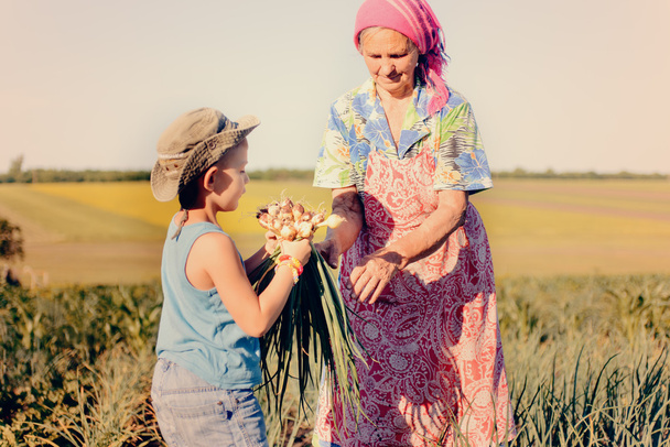 Genç çocuk soğan büyükannesi ile tespit - Fotoğraf, Görsel