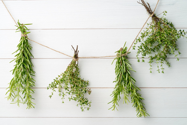 Single twigs of Thyme and Rosemary - Фото, изображение