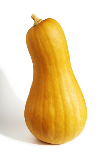 Pear Pumpkin - Foto, imagen