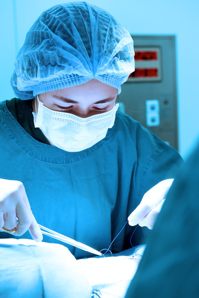veterinarian surgery in operation room - Фото, зображення