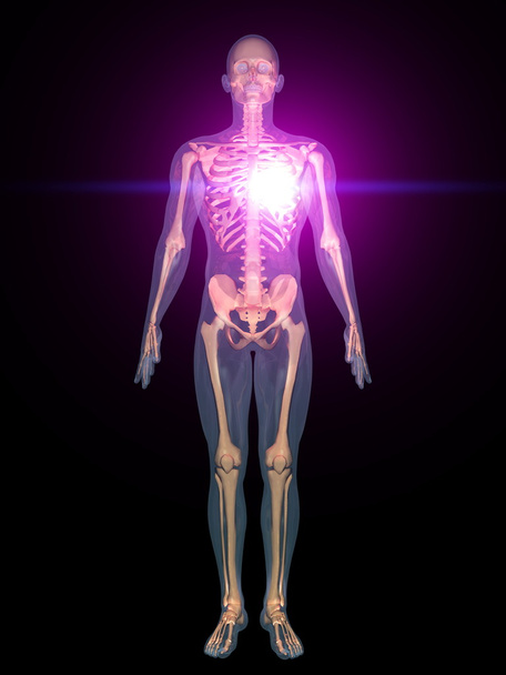 human body - Photo, Image