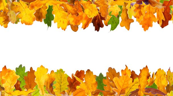 Autumn oak leaves frame - Zdjęcie, obraz