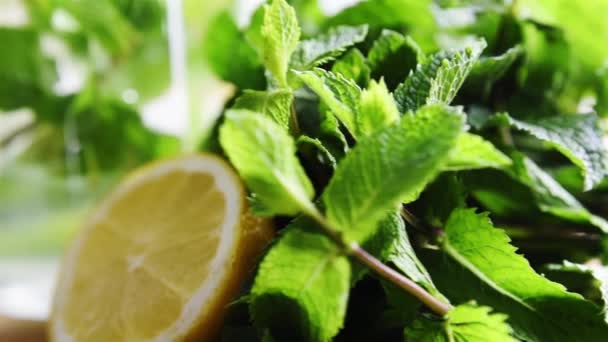 lemon and mint drink - Footage, Video
