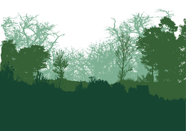 Paisaje forestal salvaje con árboles verdes y verdes oscuros, hierba y plantas
 - Vector, Imagen