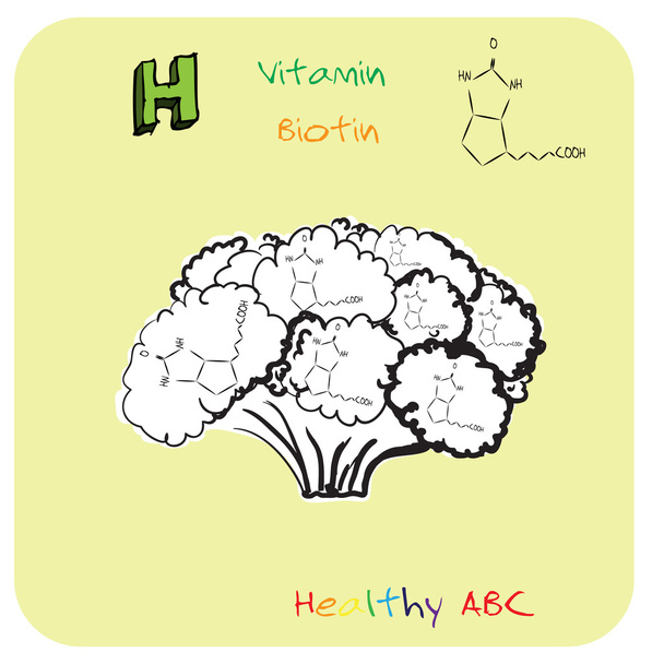 Terveet ABC: H-vitamiini
 - Vektori, kuva