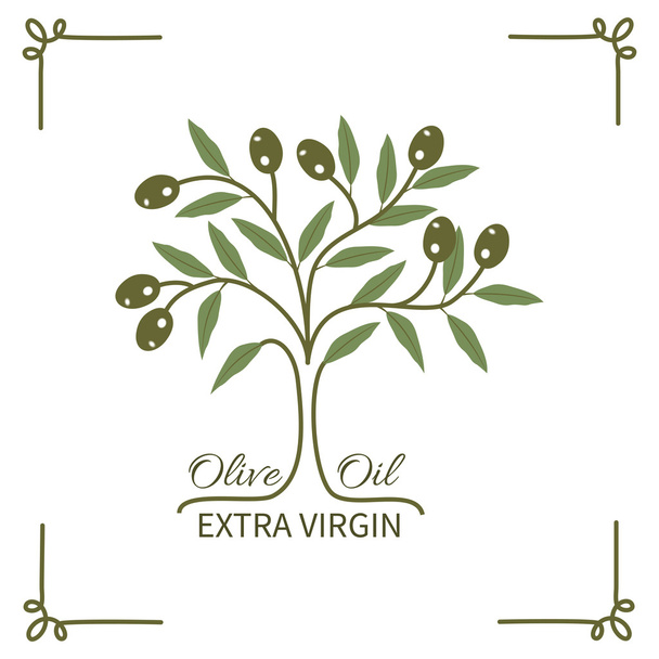 olive oil - Vector, Imagen